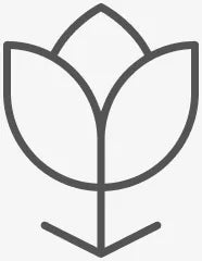 cfc-sleek-tulip-icon